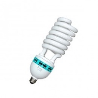 PES 125W Fluorescent Daylight Bulb 5500K