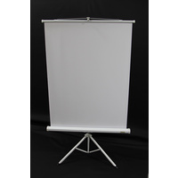 PES Photographic Background Screen-White