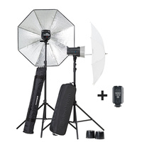 Elinchrom D-Lite RX2/RX2 Umbrella To Go Set