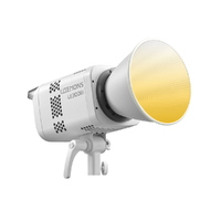 Godox LE300Bi Litemons 320W Bi-color COB AC Power LED Light 2800K-6500K (White)
